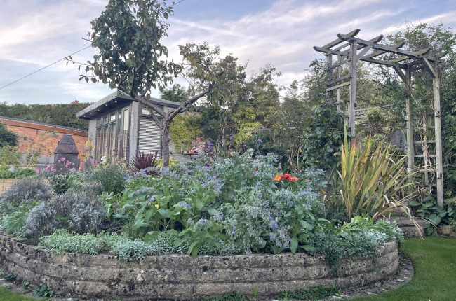 Garden treatment room surrounded by plants at Planted Wellbeing in Great Haywood